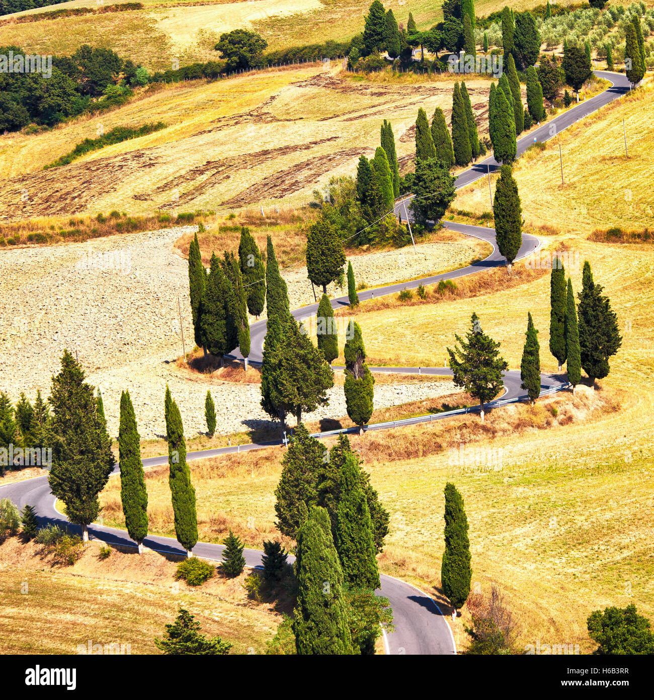 Cipresso strada panoramica a Monticchiello vicino a Siena, Toscana, Italia, Europa. Foto Stock