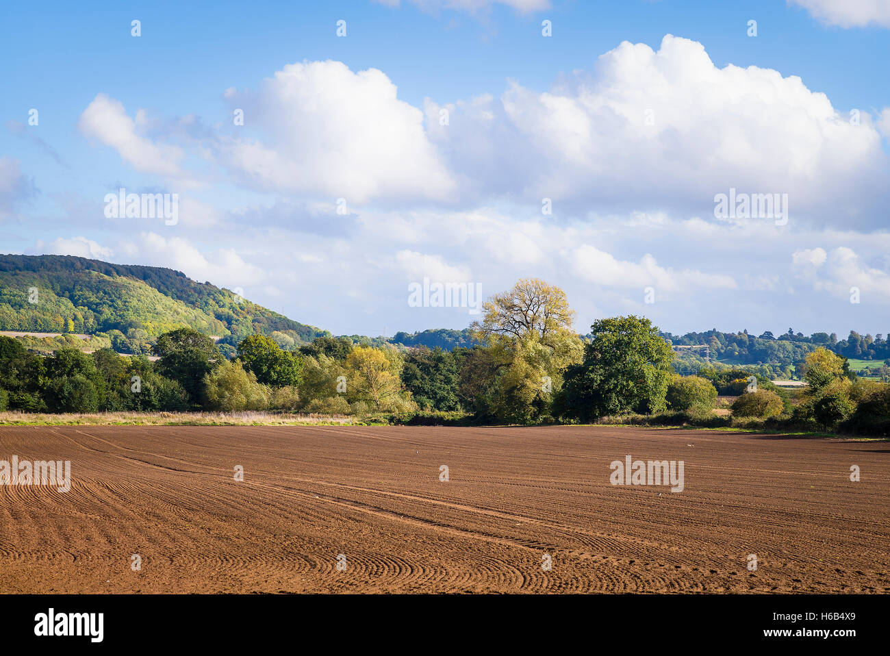 Dopo la raccolta i terreni agricoli è cancellata e preparati per un nuovo raccolto nel WILTSHIRE REGNO UNITO Foto Stock