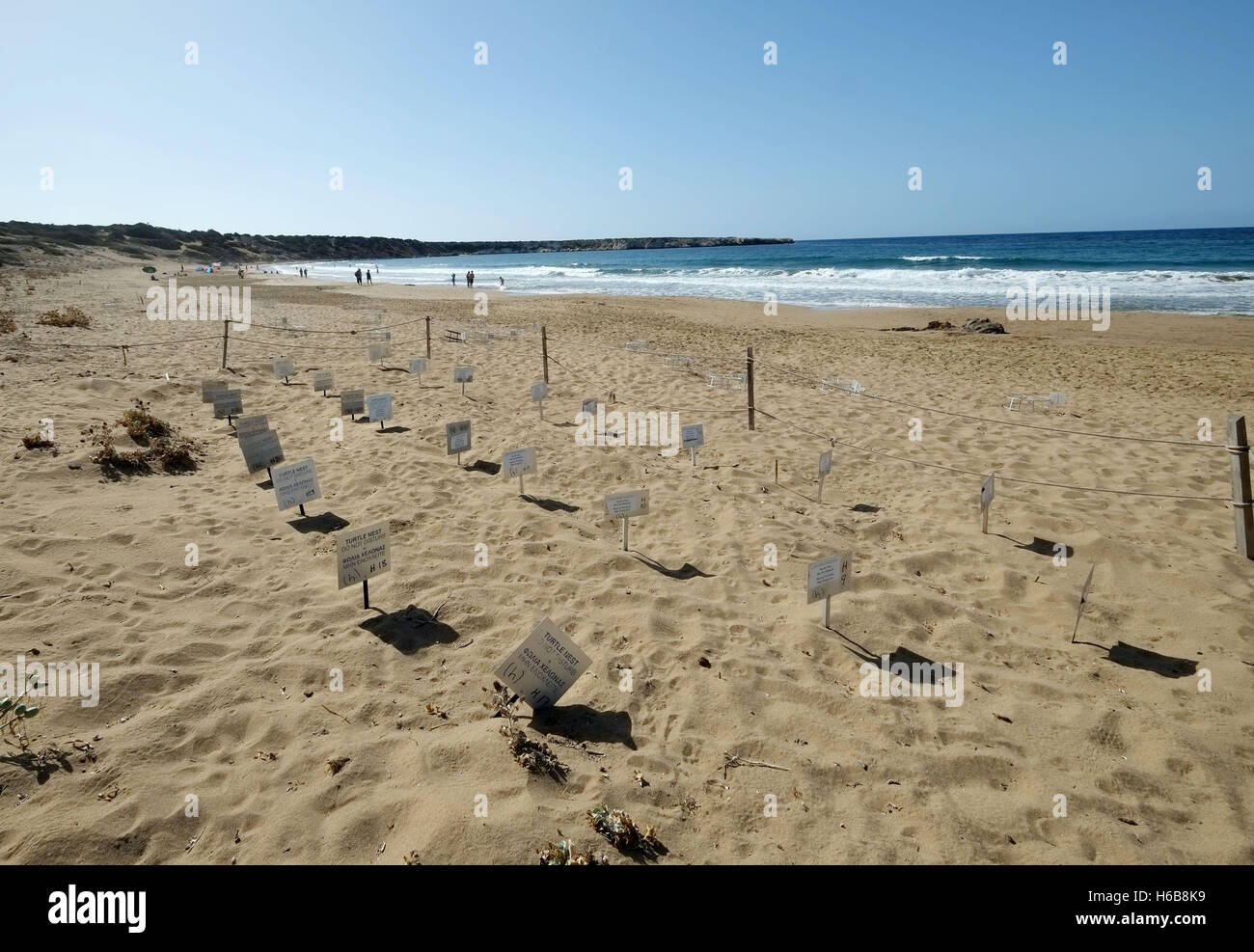 Area protetta attorno al Turtle Nest siti a Lara beach sulla penisola di Akamas, la Repubblica di Cipro Foto Stock