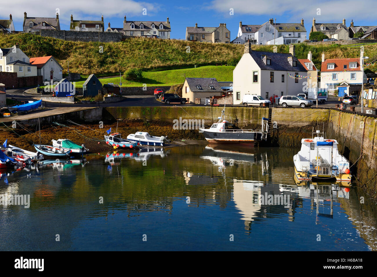 St Abbs Harbour, Berwickshire, Scottish Borders, Scotland, Regno Unito Foto Stock