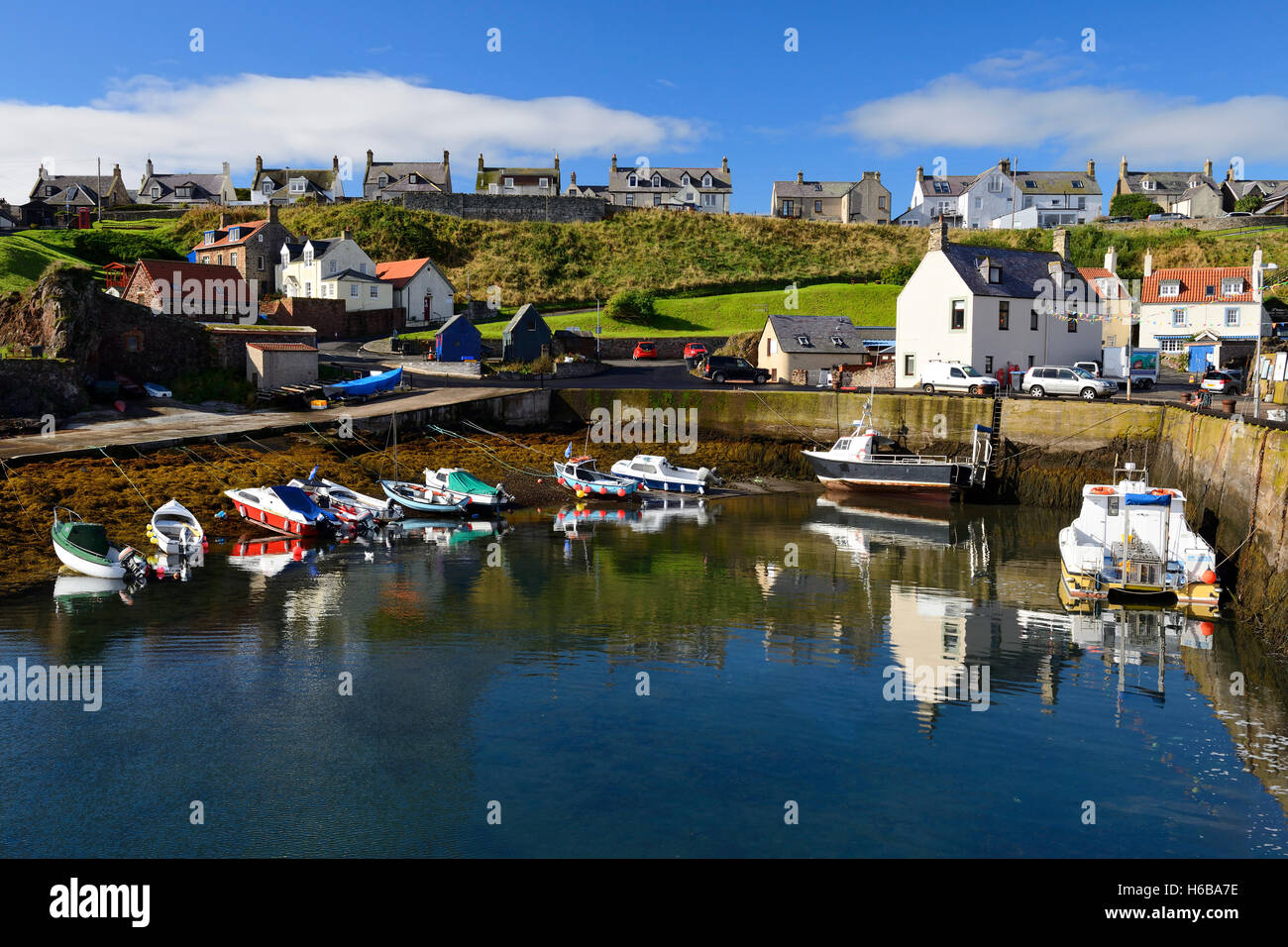 St Abbs Harbour, Berwickshire, Scottish Borders, Scotland, Regno Unito Foto Stock
