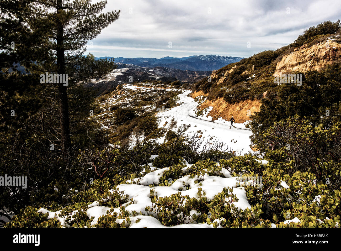 Una persona trail running nella neve. Fotografato nelle montagne di Ojai, California. Foto Stock