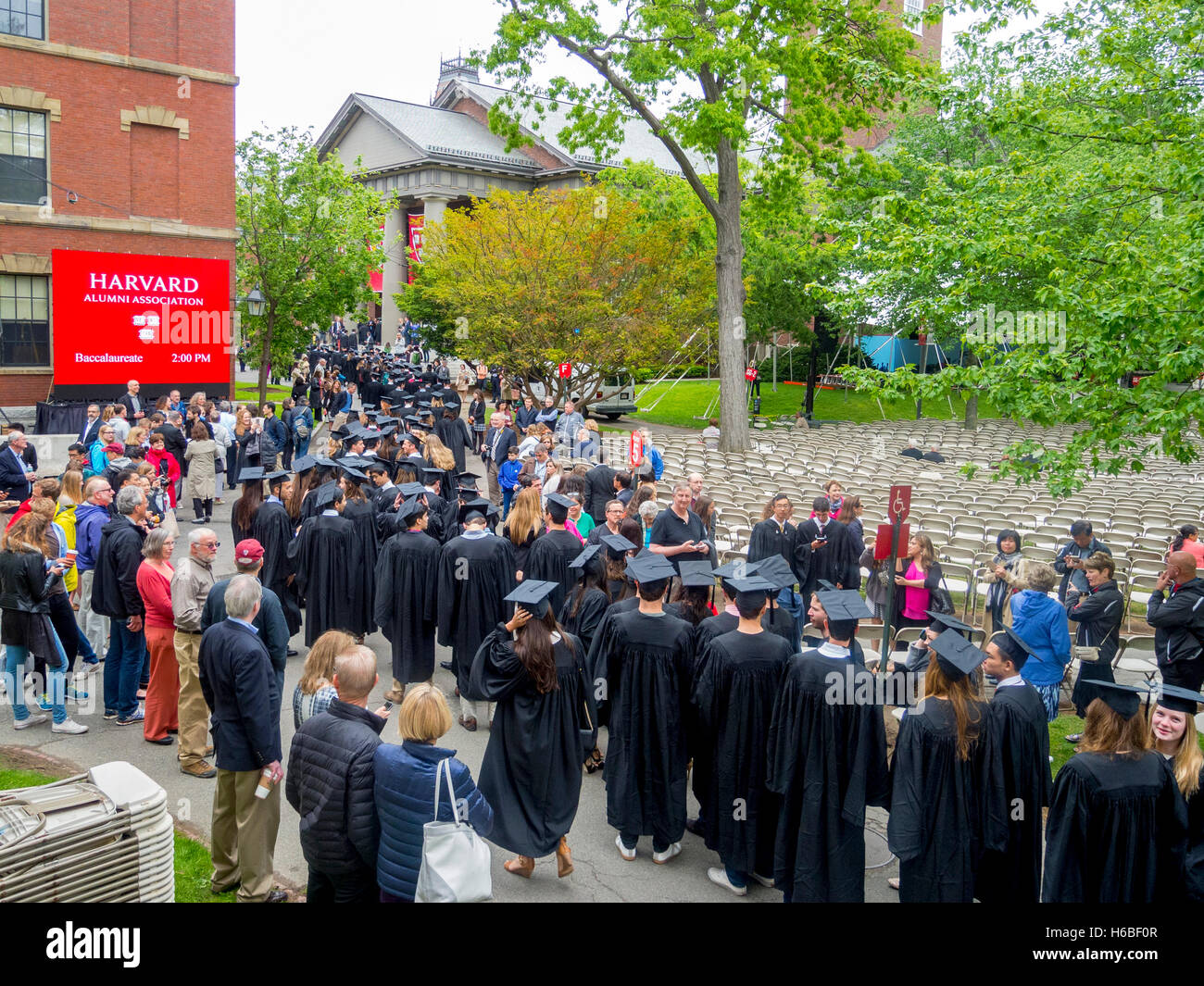 Indossando tappi di graduazione e abiti, multirazziale Harvard laureati formano una processione in Harvard Yard in Cambridge, MA, come membri della famiglia guardare. Foto Stock