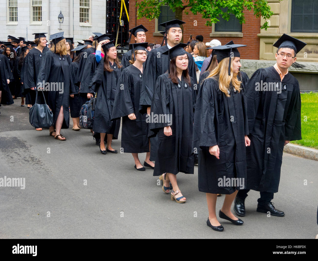 Indossando tappi di graduazione e abiti, multirazziale Harvard laureati formano una processione in Harvard Yard a Cambridge, MA. Foto Stock