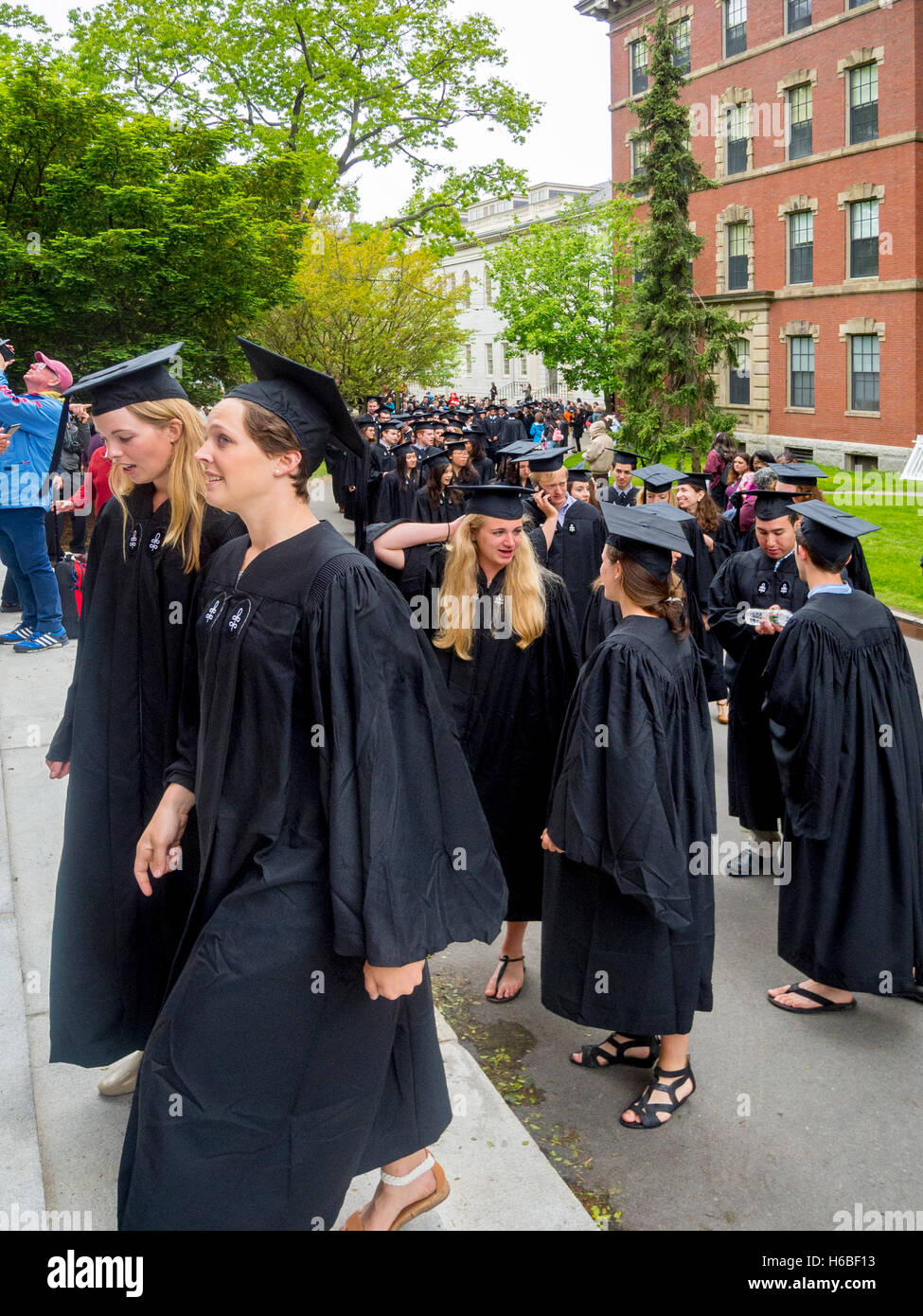 Indossando tappi di graduazione e abiti, multirazziale Harvard laureati formano una processione in Harvard Yard a Cambridge, MA. Foto Stock
