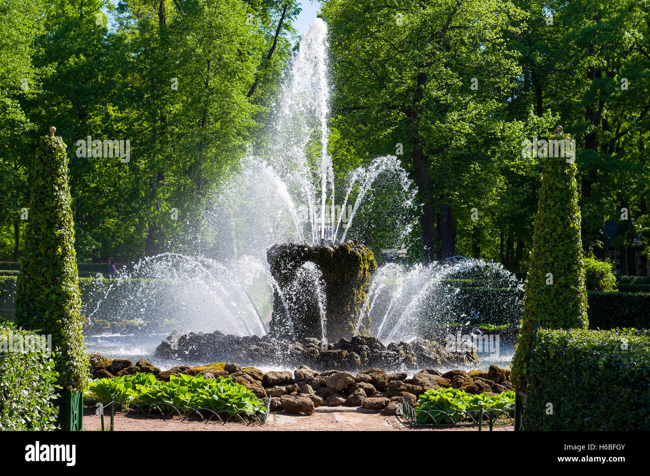 Potente e lussureggianti fontana 'Sheaf', è la principale fonte di questo ensemble Monplaisir giardino. Foto Stock