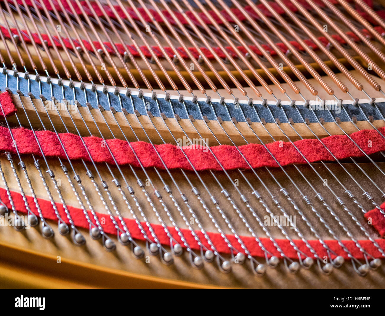 Le stringhe all'interno di un piano Steinway Foto Stock