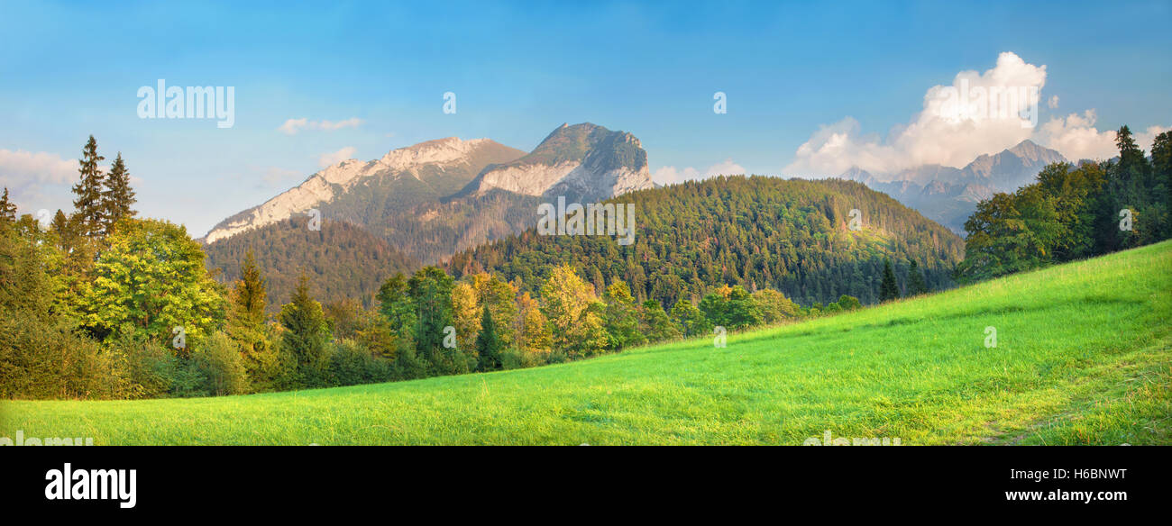 Alti Tatra mountain da nord con i picchi Muran e Novy picco. Foto Stock
