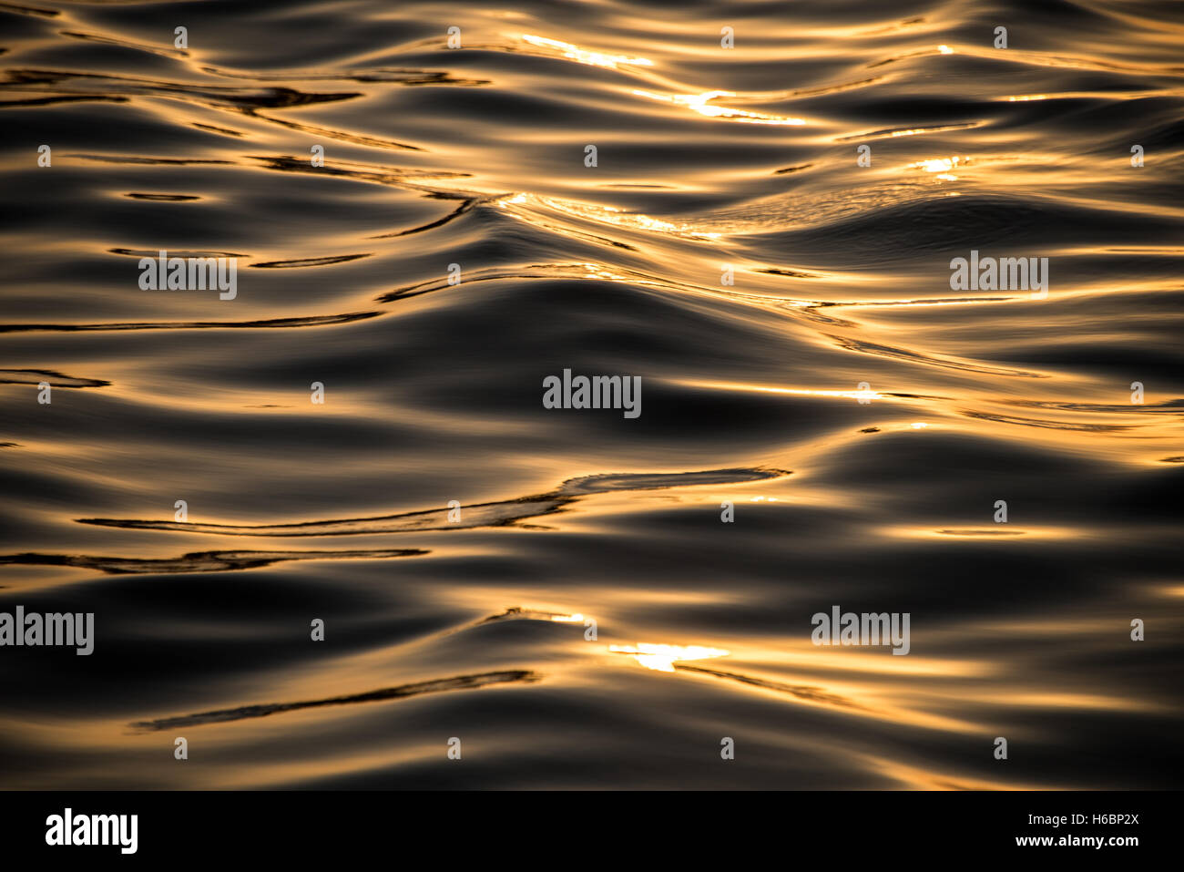 Pomeriggio oro luce sulle increspature dell'acqua Foto Stock