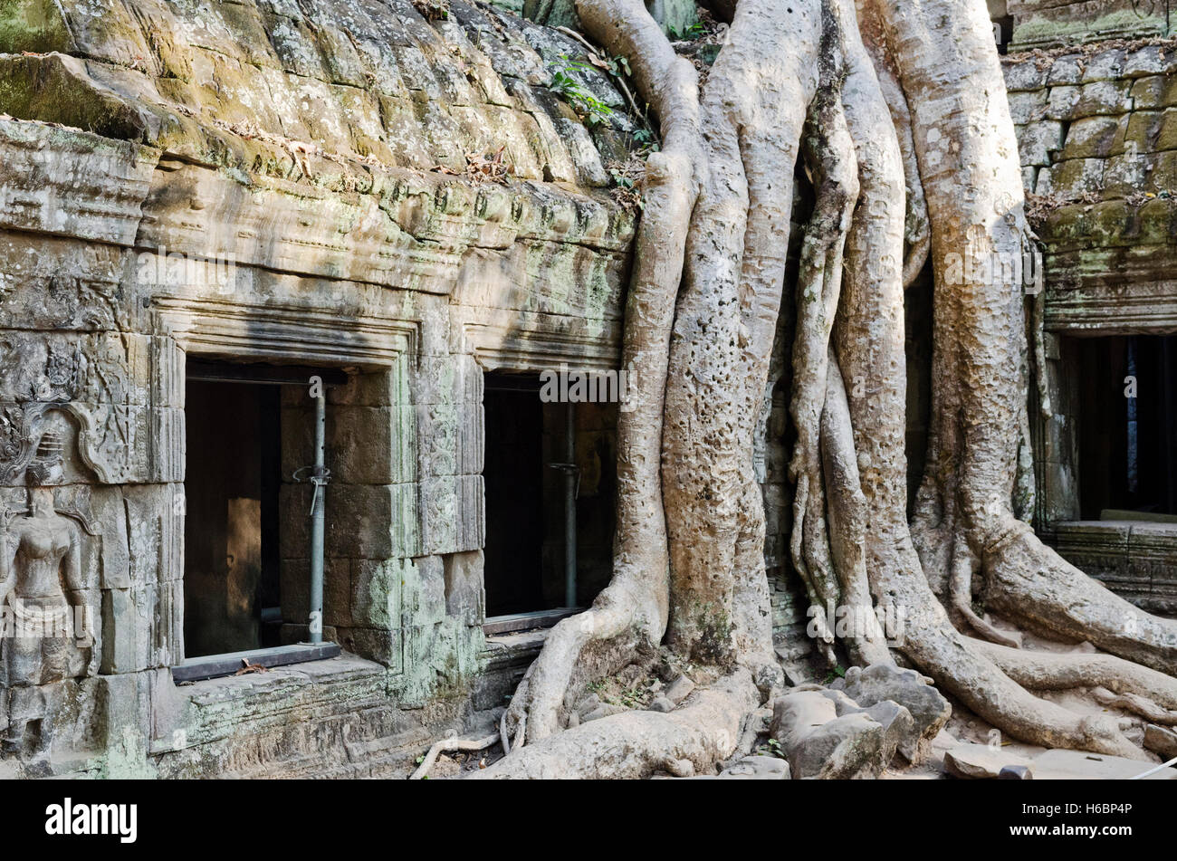 Angkor Wat rovine famoso tempio dettaglio vicino a Siem Reap Cambogia Foto Stock