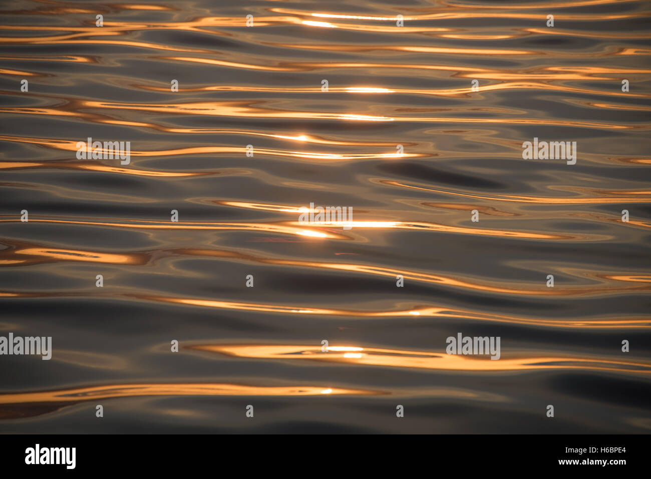 Golden raggi di luce che colpisce il piccolo increspature dell'acqua dei Caraibi Foto Stock