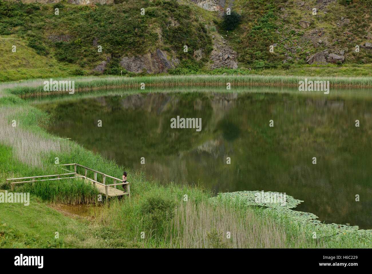 Parco La Arboleda - area ricreativa nel Trapaga Valley vicino a Bilbao, Vizcaya, Paesi Baschi, Spagna, Europa Foto Stock
