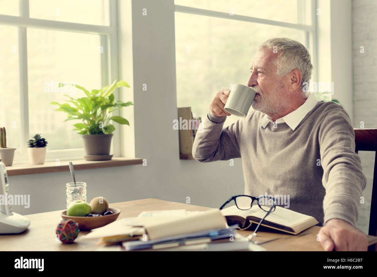 Senior di lettura per adulti Prenota Tempo Libero concetto Hobby Foto Stock