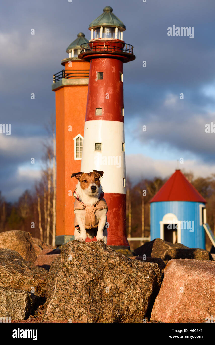 Cane come divertente custode di luce al parco dei fari modelli, Finlandia, Kotka Foto Stock