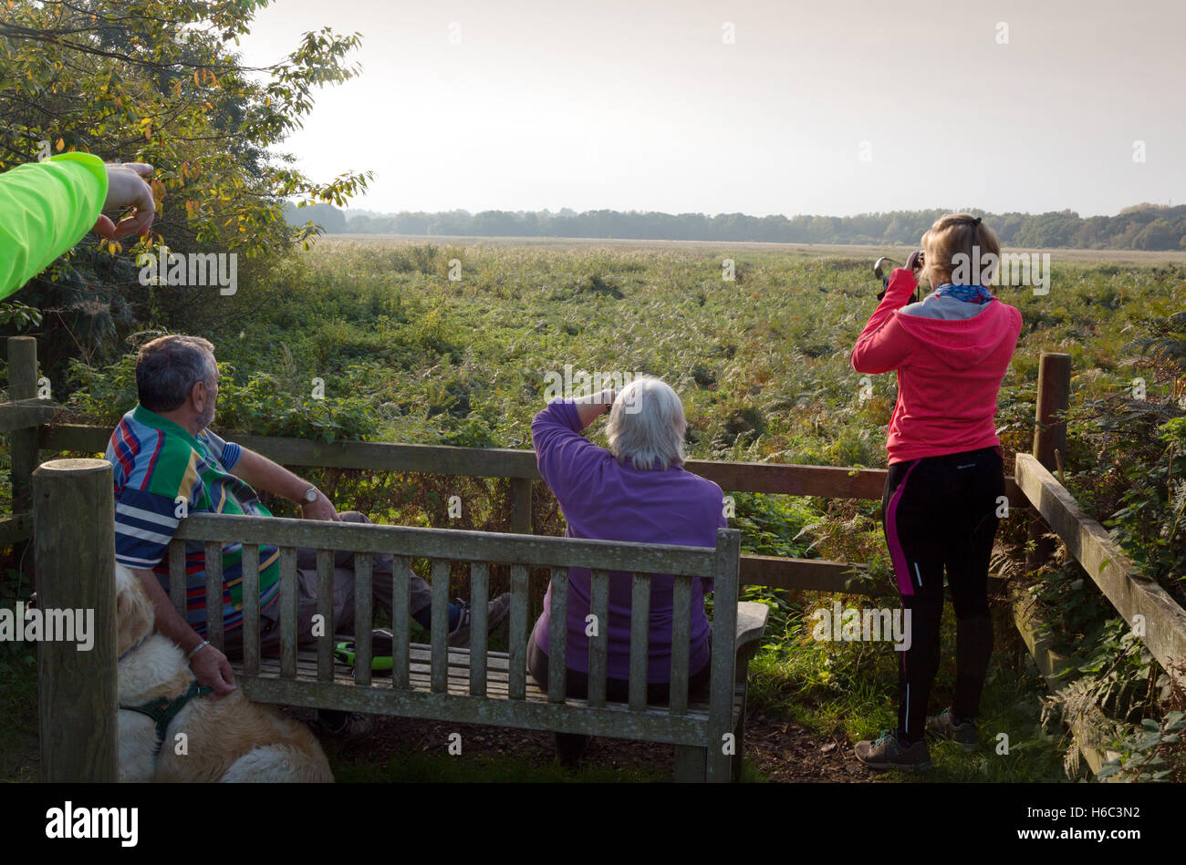 Gli amanti del birdwatching a RSPB Nord Riserva di Warren, Aldeburgh, Suffolk England Regno Unito Foto Stock