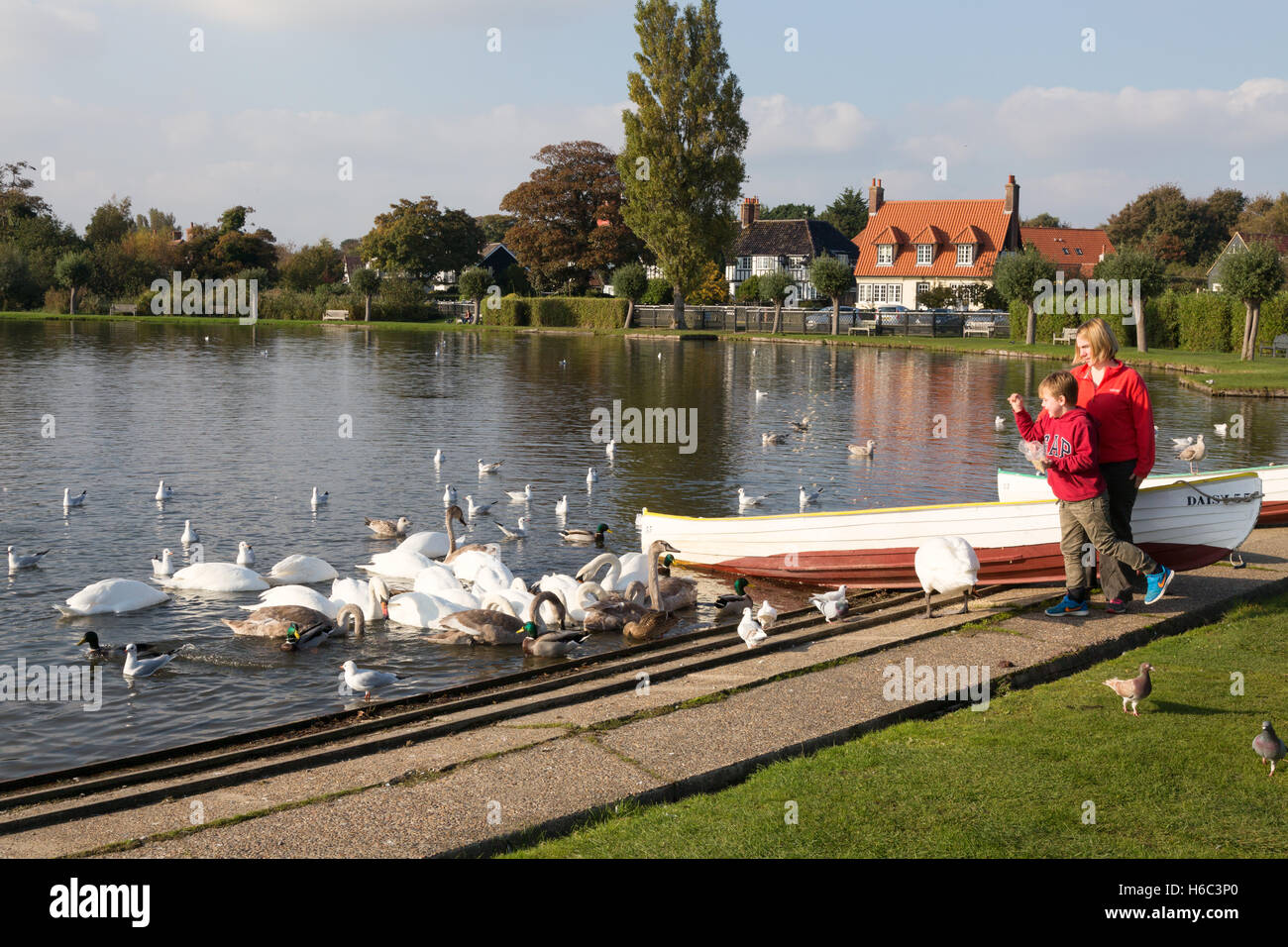 Una madre e figlio alimentando gli uccelli, Thorpeness Meare, Thorpeness village, Suffolk REGNO UNITO Inghilterra Foto Stock