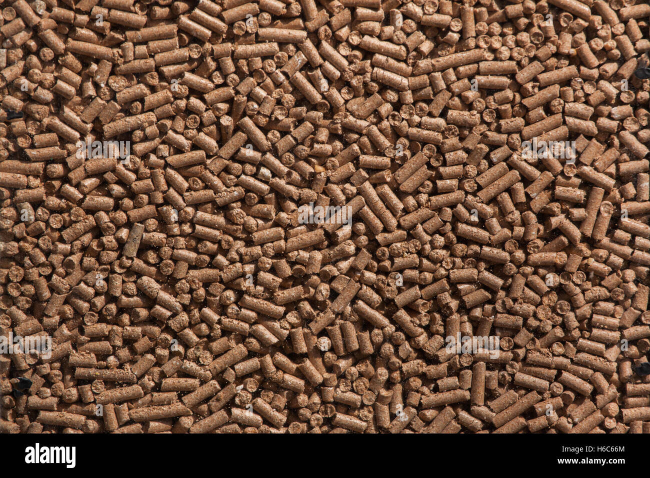 Alimenti per animali pellet. Texture di sfondo. Foto Stock