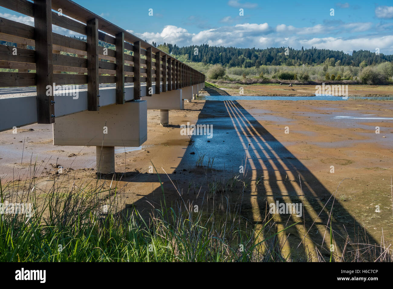 Un ponte pedonale che abbraccia le velme e le zone umide all'Theler Zone umide in Belfair, Washington. Foto Stock