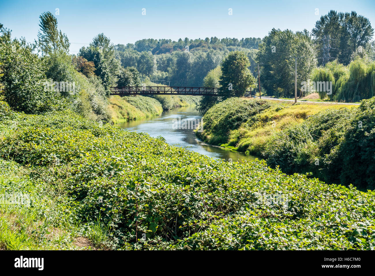 Un metallo ponte pedonale che attraversa il fiume Verde nello Stato di Washington. Foto Stock
