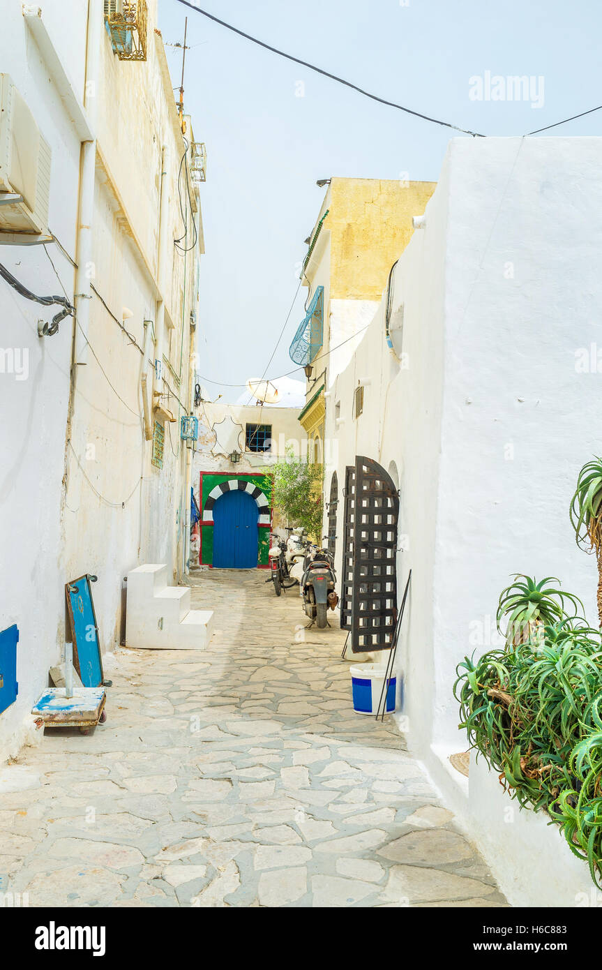 Le tradizionali case arabe sono di colore bianco o pastello e solo le porte vanta diversi colori, Hammamet, Tunisia. Foto Stock