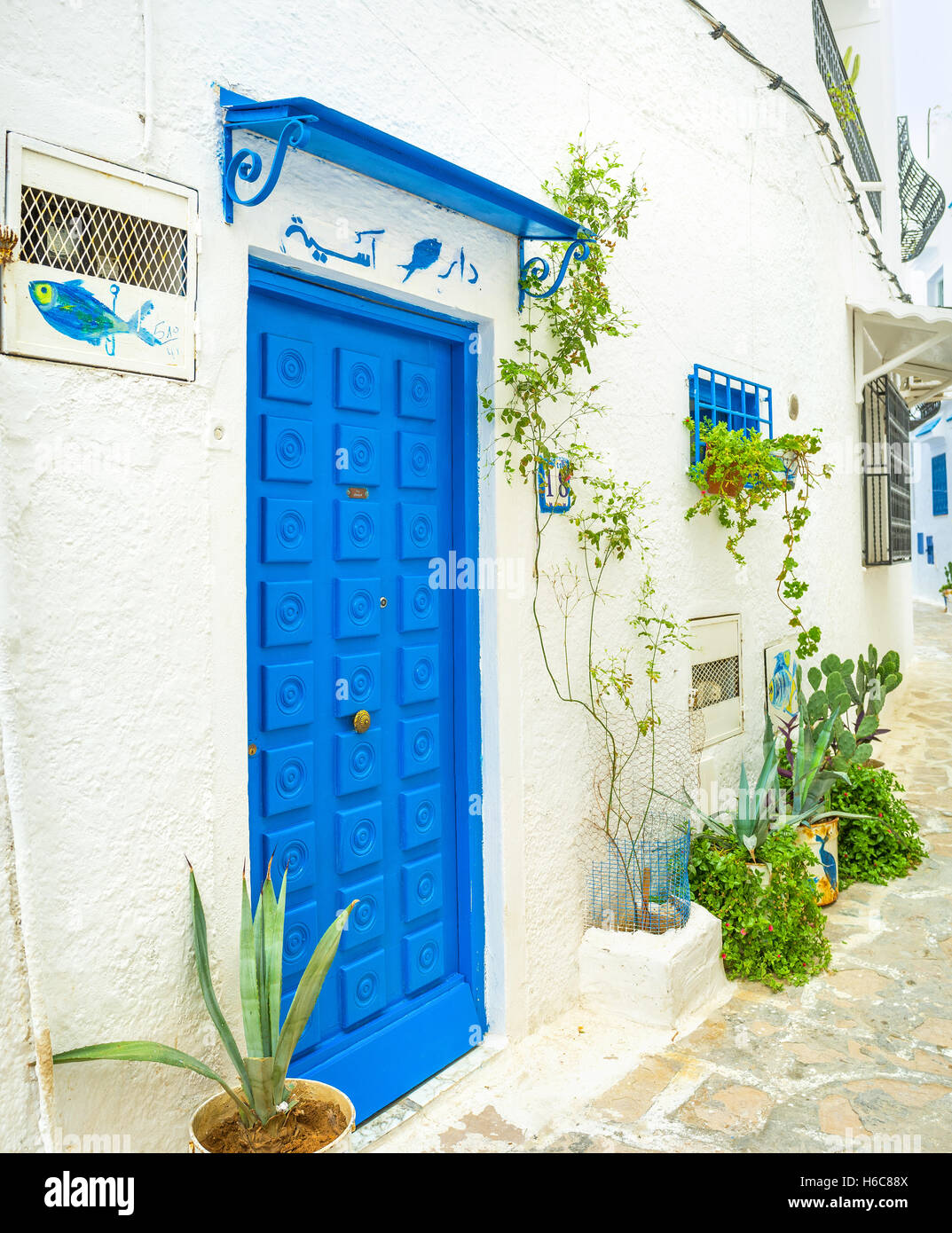 Il colore brillante porta e fiore s in vasi sono i tradizionali decorazioni esterne nella vecchia città araba Foto Stock