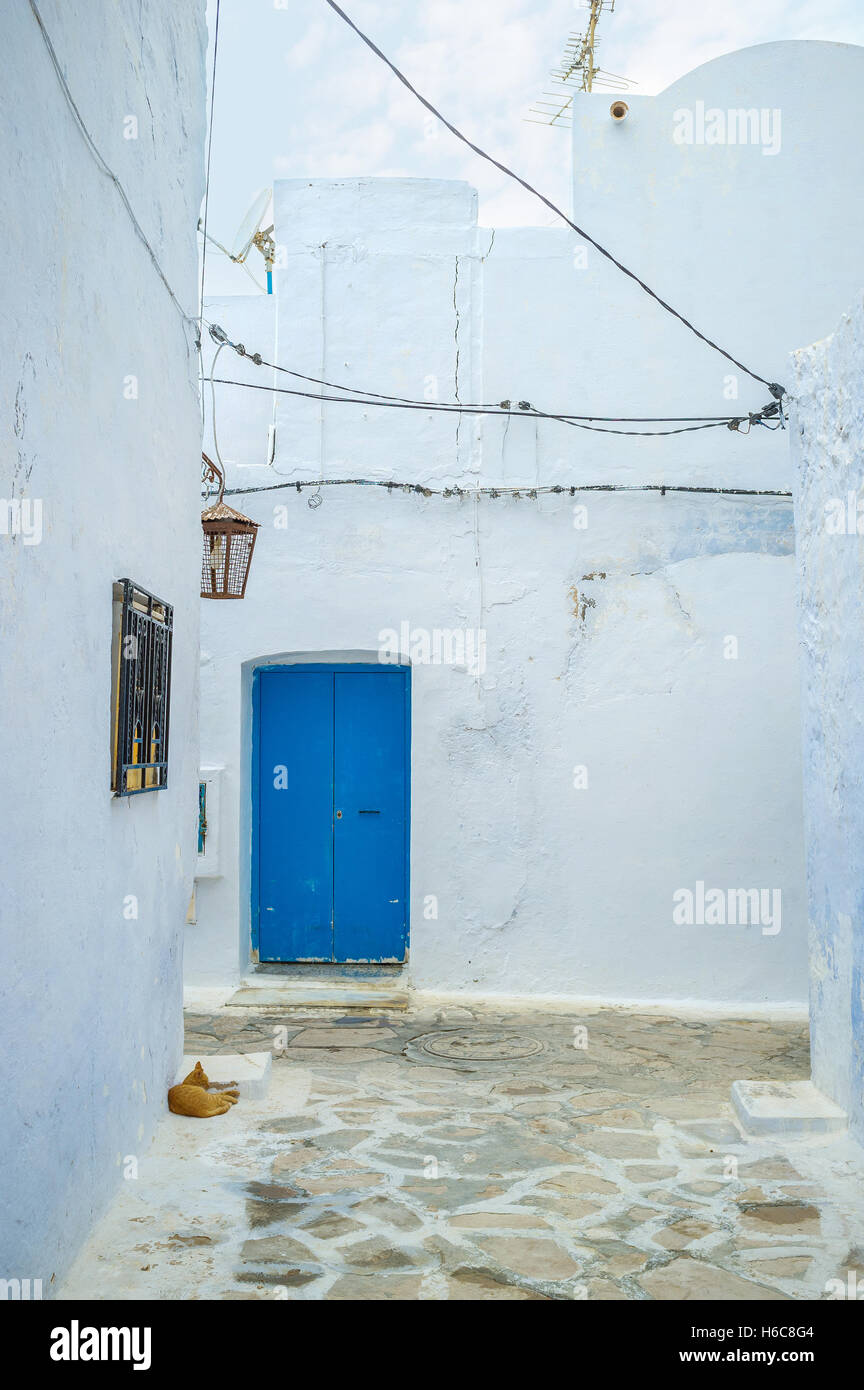 Le pareti bianche di Medina aiutare le case per rimanere fresco durante la stagione calda, Hammamet, Tunisia. Foto Stock