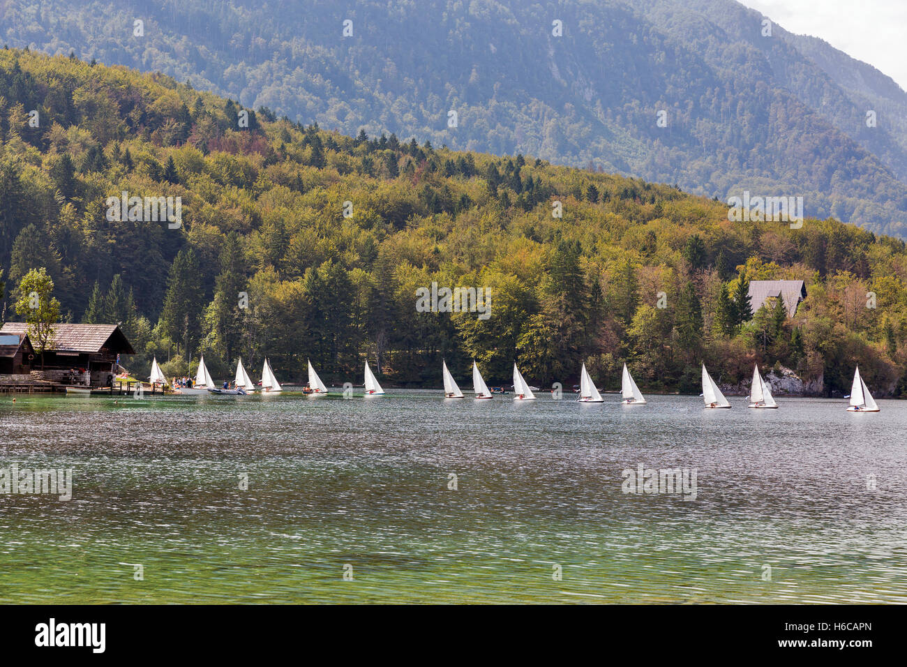 Il lago di Bohinj paesaggio estivo, sulle Alpi Giulie e singolo yacht a vela in Slovenia. Foto Stock