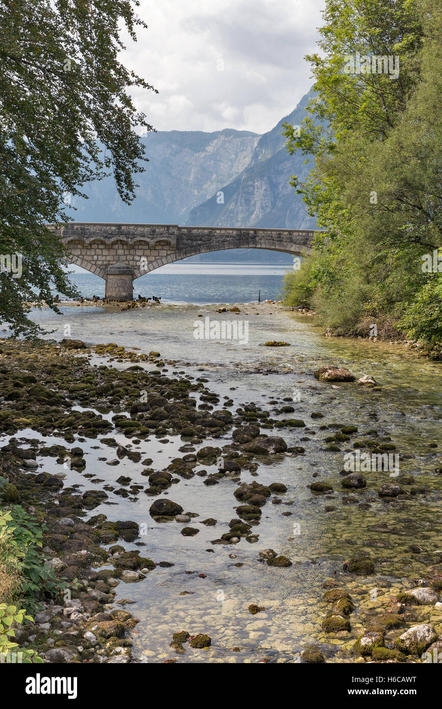 Sava Bohinjka fiume scorre dal lago di Bohinj in Slovenia. Il Parco Nazionale del Triglav nelle Alpi Giulie. Foto Stock