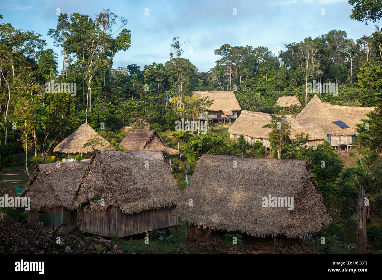 Un ayahuasca shipibo medicina vegetale healing center nell'Amazzonia peruviana foresta pluviale in una radura della giungla Foto Stock