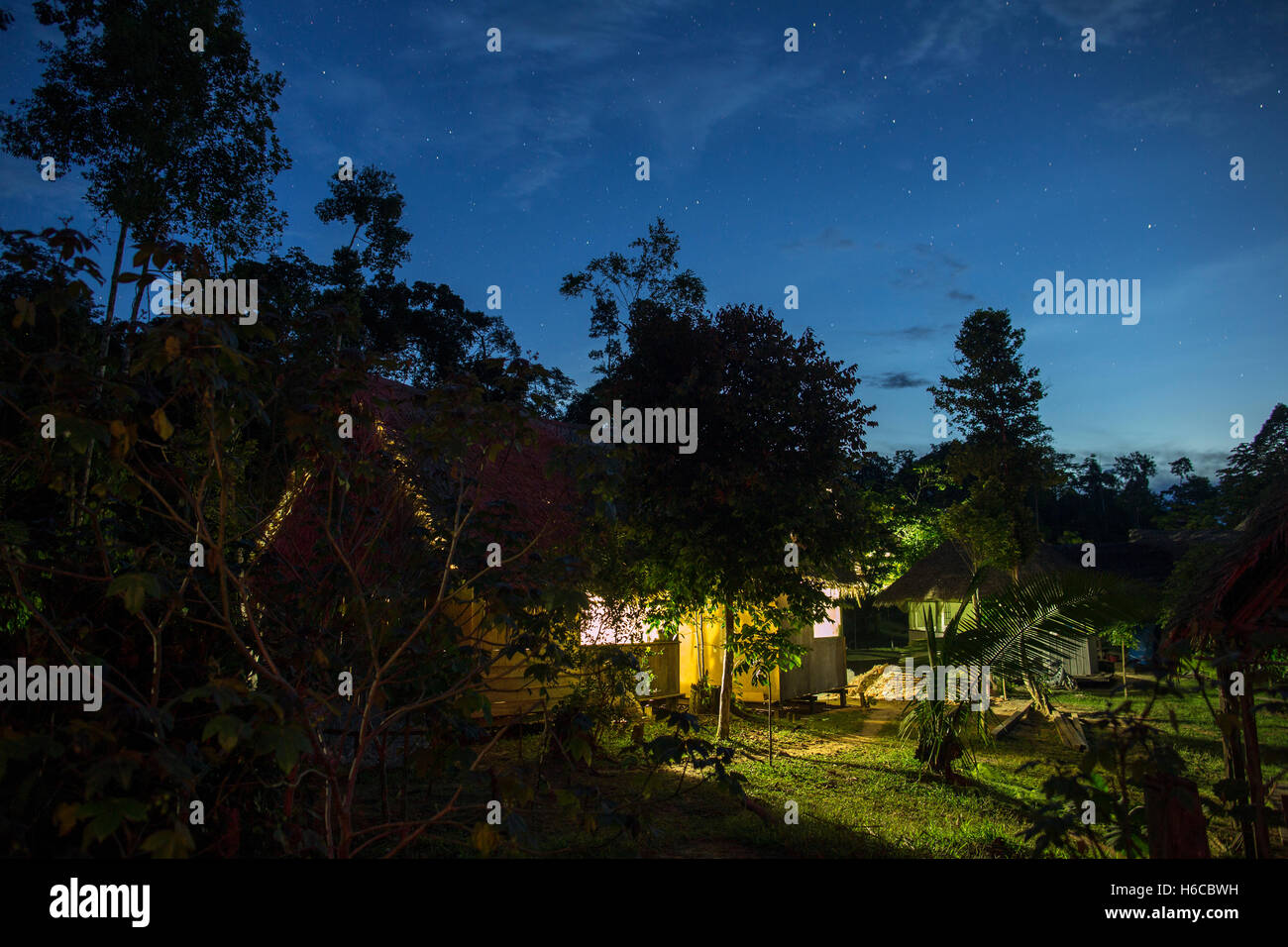 Palm tambos di paglia su palafitte in un impianto di ayahuasca medicina centro di guarigione in amazzonia peruviana foresta pluviale vicino nauta Foto Stock