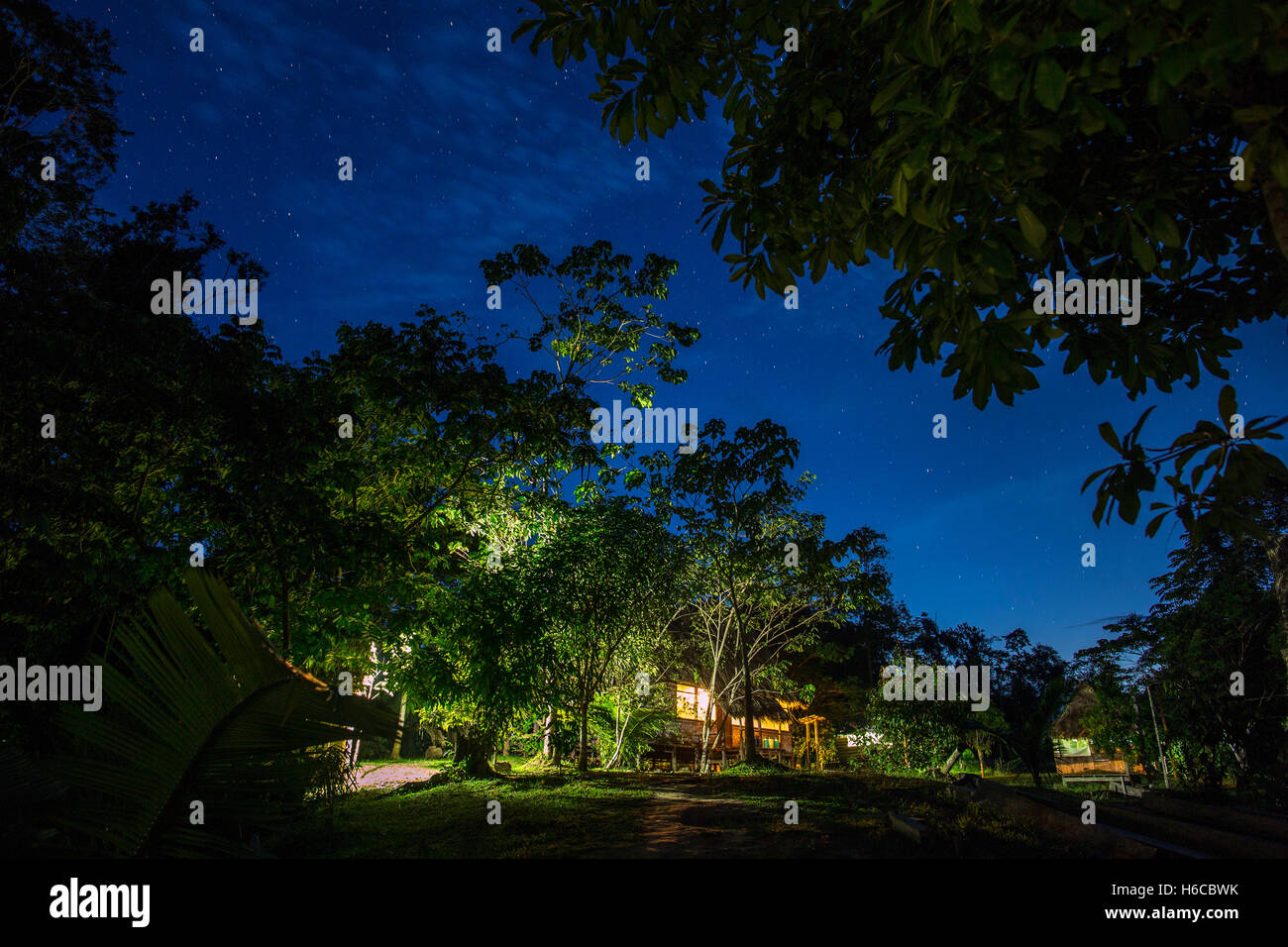 Un ayahuasca shipibo medicina vegetale healing center nell'Amazzonia peruviana la foresta pluviale di notte. Foto Stock