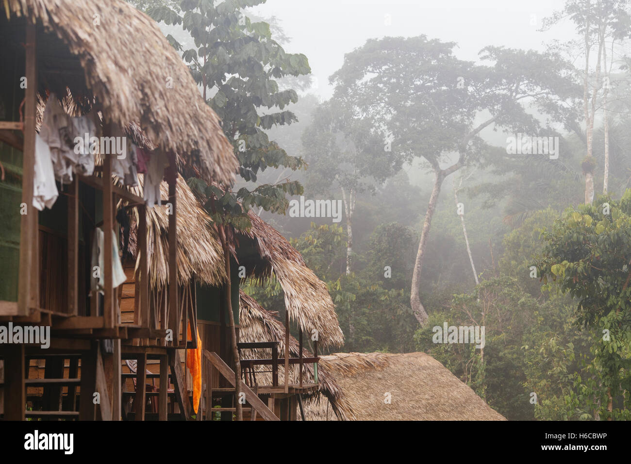 Foggy palm tambos di paglia su palafitte presso un impianto di ayahuasca medicina centro di guarigione in amazzonia peruviana foresta pluviale vicino nauta Foto Stock