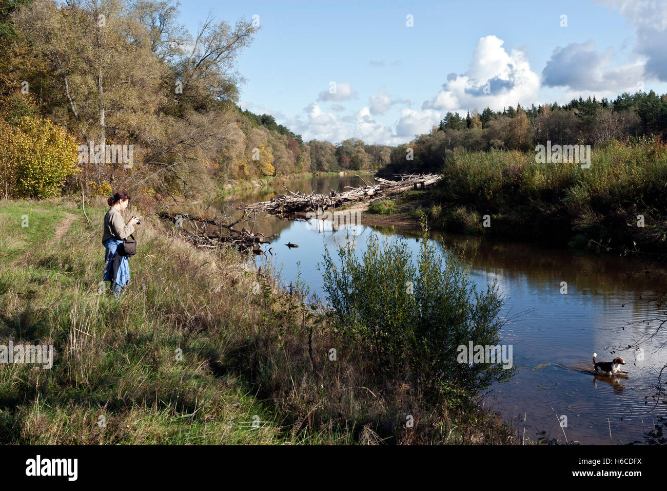 Fiume Gauja vicino Murjani in Gauja Parco Nazionale della Lettonia Foto Stock