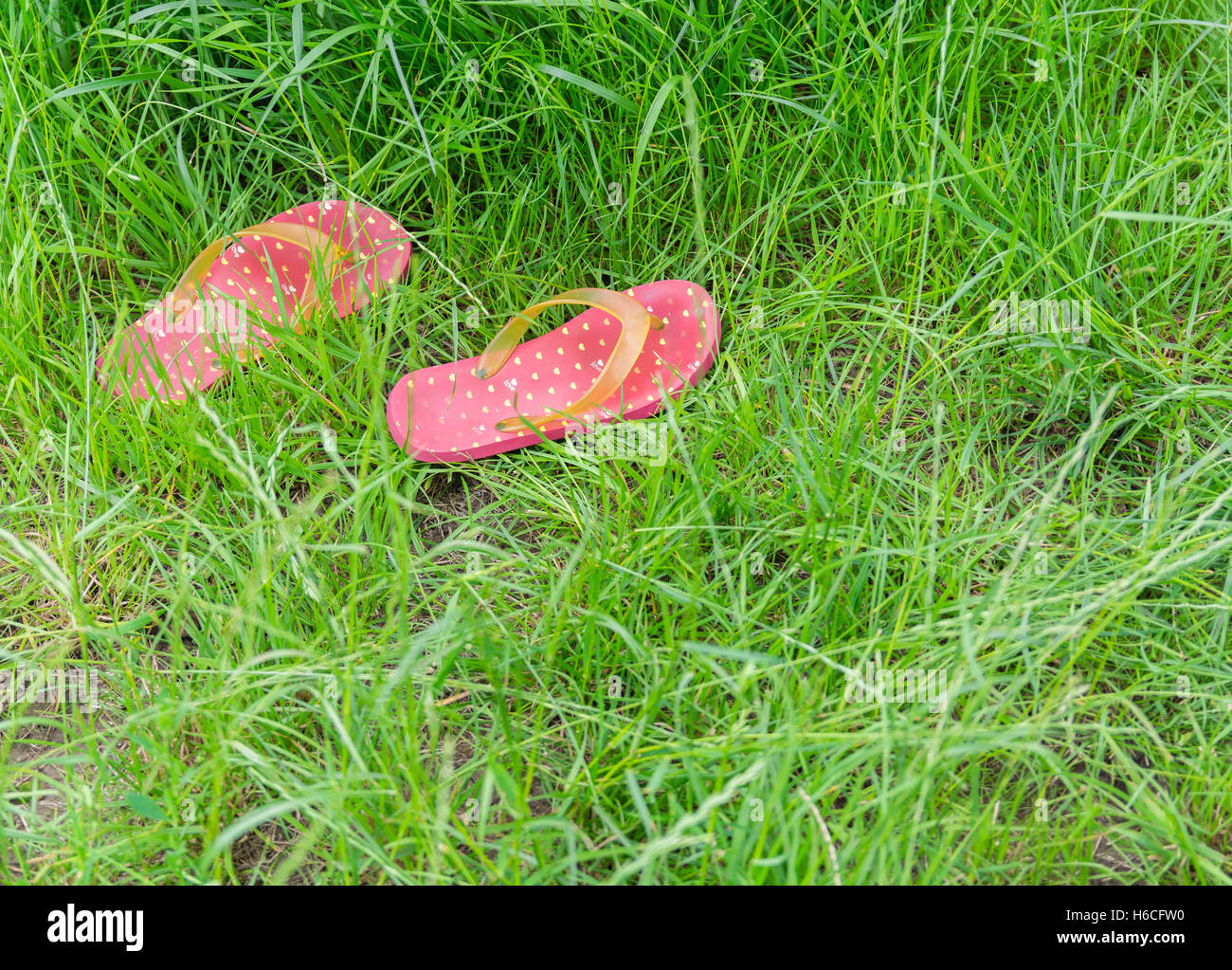 Gomma colorata pantofole o infradito sul fresco verde erba. L'estate. Foto Stock