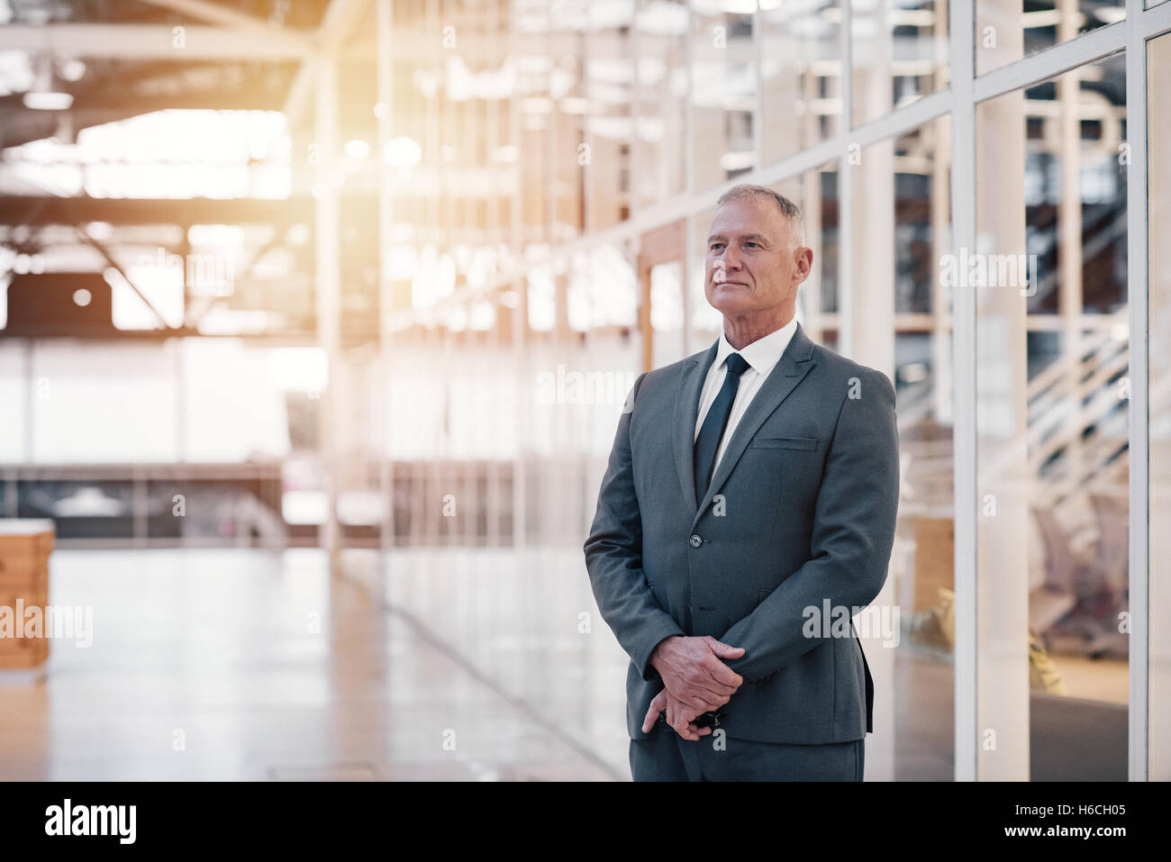 La sua visione porterà alla società di successo Foto Stock