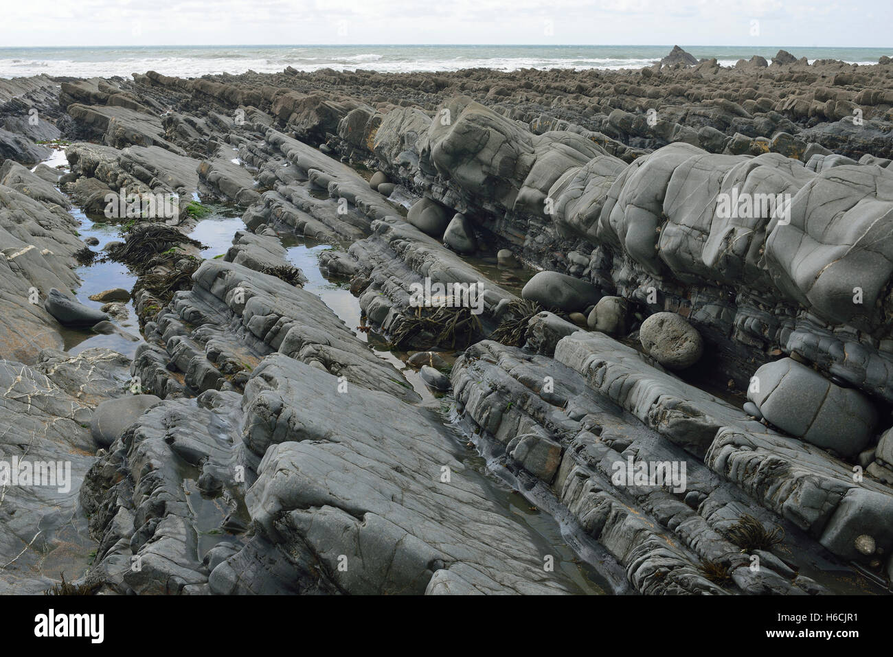 Strati di roccia conduce al mare, Bocca Welcombe Beach, Hartland Peninsula, North Devon Coast Foto Stock