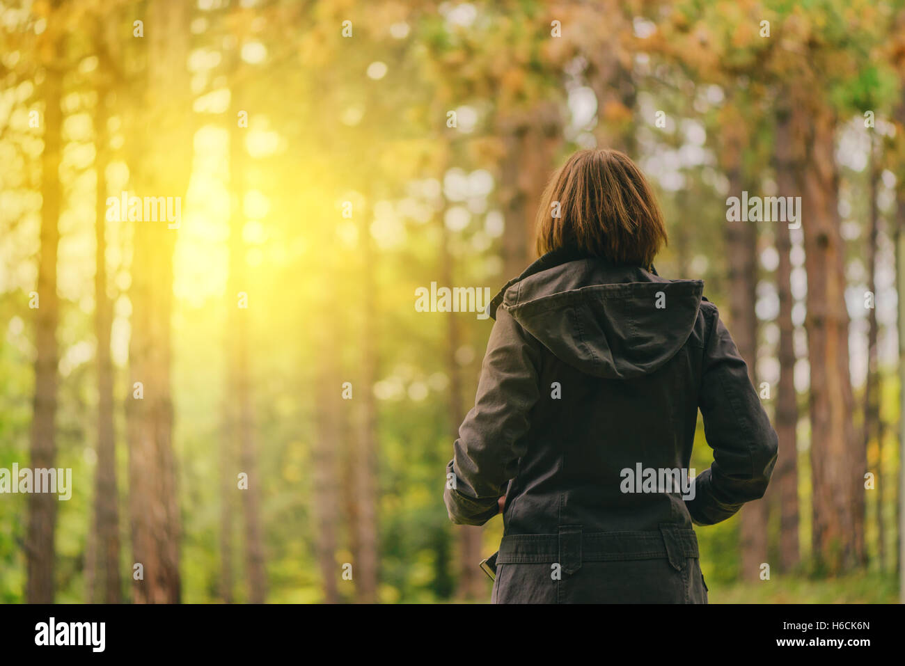 Vista posteriore del casual donna guardando il sole del mattino attraverso gli alberi autunno park o la foresta, la donna in caduta stagione ambiente Foto Stock
