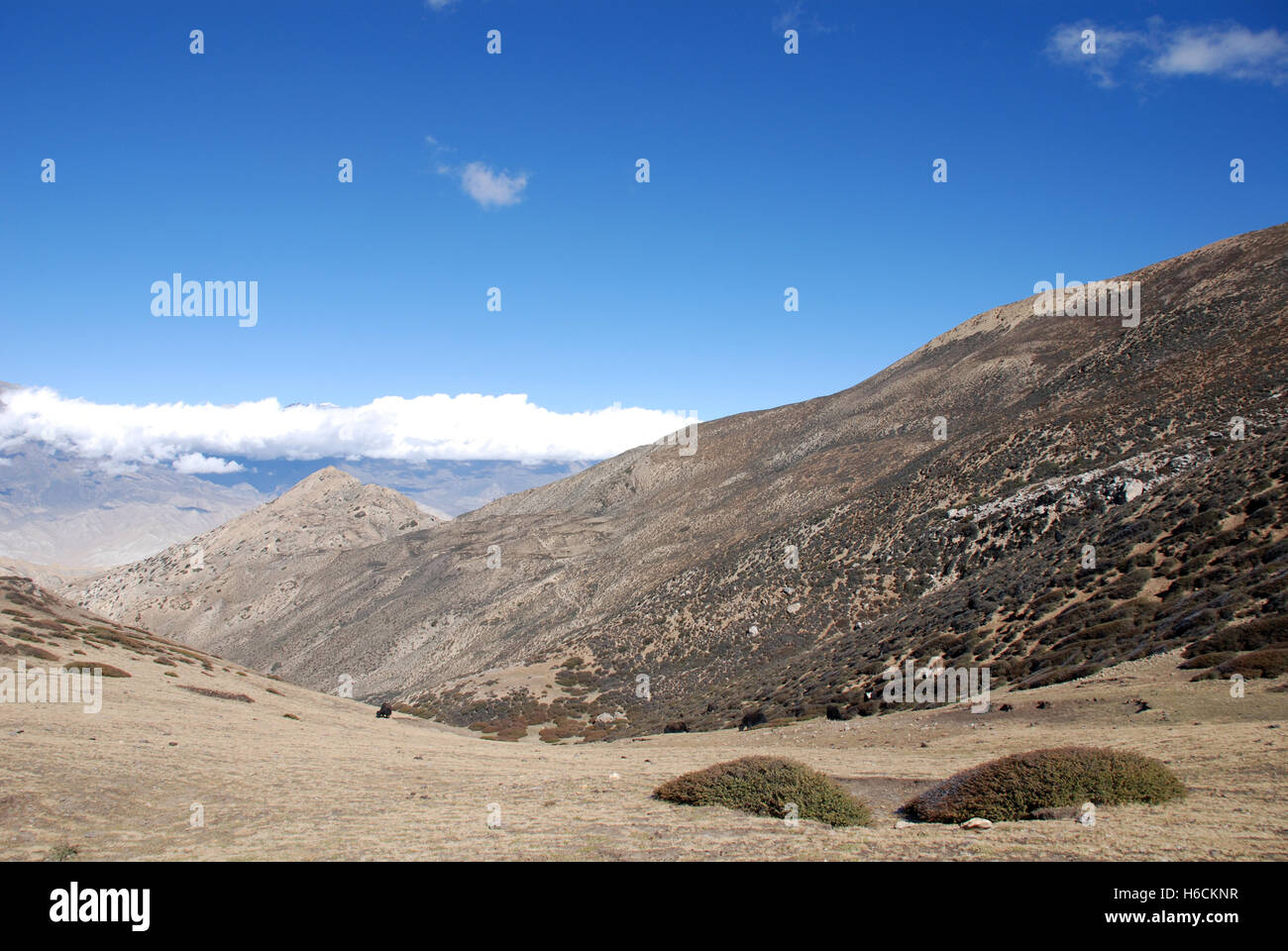 Il paesaggio di montagna arida del telecomando Damodar Himal nella regione di Mustang del Nepal un'area visitato per la prima volta da Bill Tilman Foto Stock