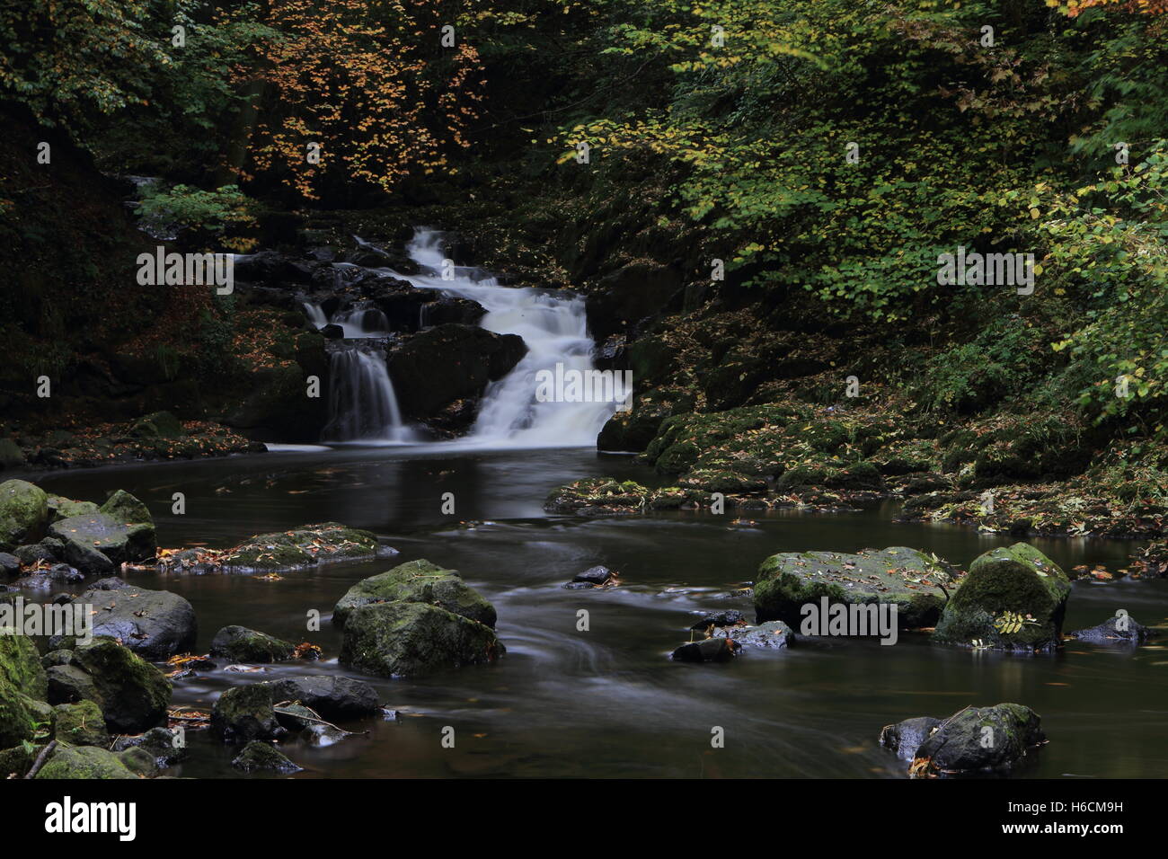 Il fiume prende il suo nome dal villaggio di Crumlin, Co Antrim, attraverso la quale fluisce. Si tratta di un piccolo e medie fiume la cui sorgente si trova principalmente nella parte occidentale delle colline e pendii della montagna Divis. Dalle colline ai piedi della montagna per la sua definitiva entrata in Lough Neagh è probabilmente non più di 13 chilometri di lunghezza. Per molti versi il fiume è tipico di centinaia di piccoli fiumi in tutta l'isola di Irlanda in possesso di una buona scorta di nativo trota marrone in piccole piscine e distese di veloce esecuzione di flussi. Tuttavia, nella tarda estate e in autunno, il fiume Crumlin beneficia di una corsa di Foto Stock