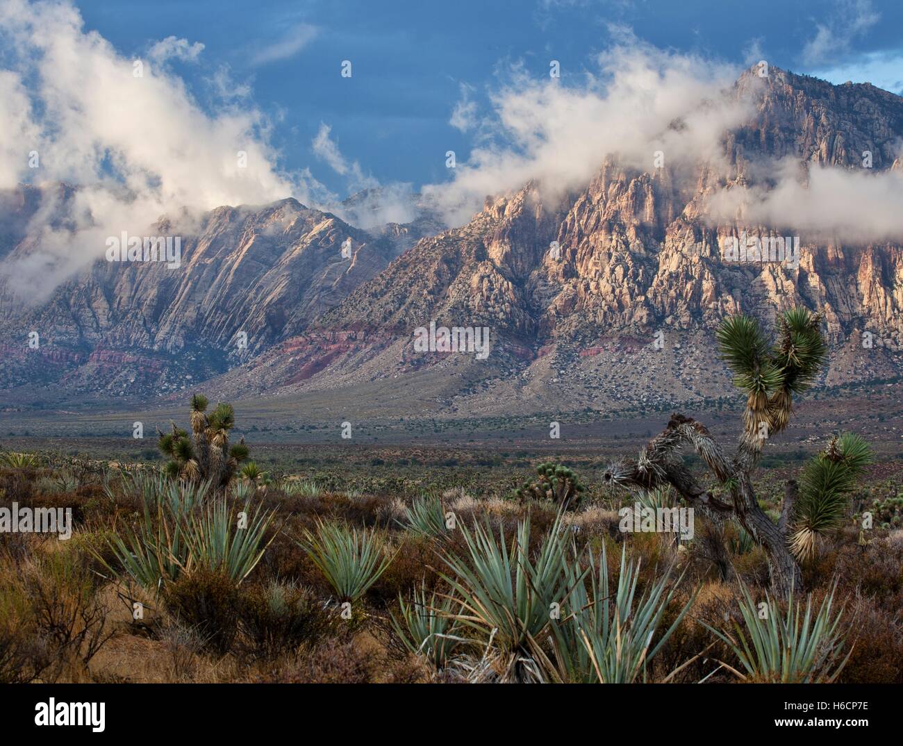 Rossi grandi formazioni rocciose e picchi di arenaria e le pareti della spinta del Keystone presso il Red Rock Canyon National Conservation Area Ottobre 4, 2011 a Las Vegas, Nevada. Foto Stock