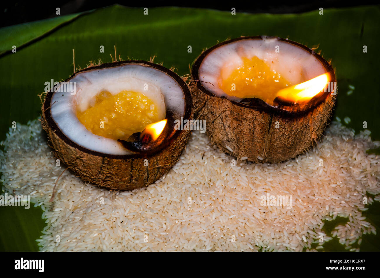 Offerte di riso e olio lampade di masterizzazione in gusci di noce di cocco, Srirangam, Distretto di Tiruchirappalli, Tamil Nadu, India Foto Stock