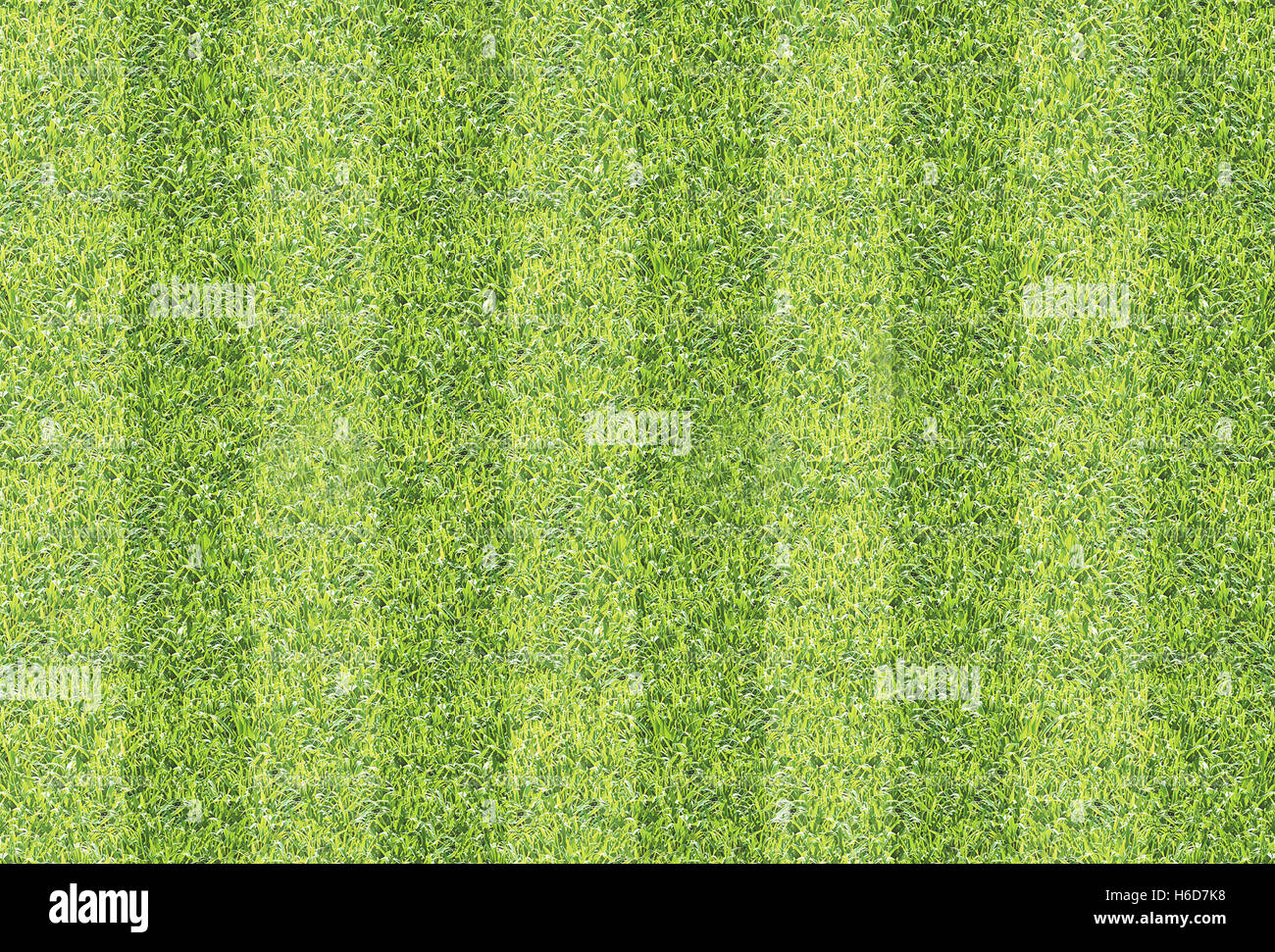 Erba verde loop modello di uno sfondo a trama Foto Stock