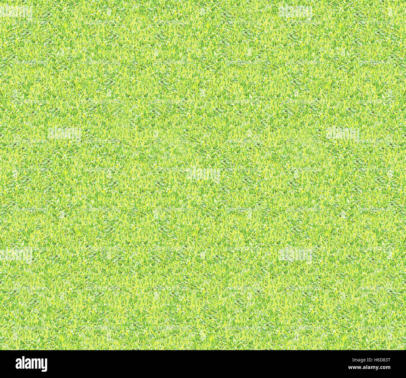 Erba verde loop modello di uno sfondo a trama Foto Stock