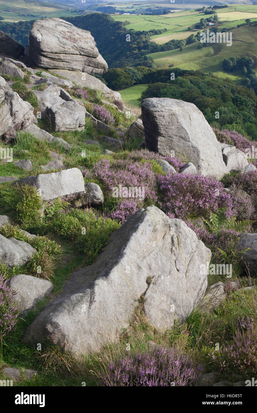 Vista sulla valle di Calder da Orchan rocce, Bridestones Moor, Todmorden, Calderdale, South Pennines, West Yorkshire, Regno Unito Foto Stock