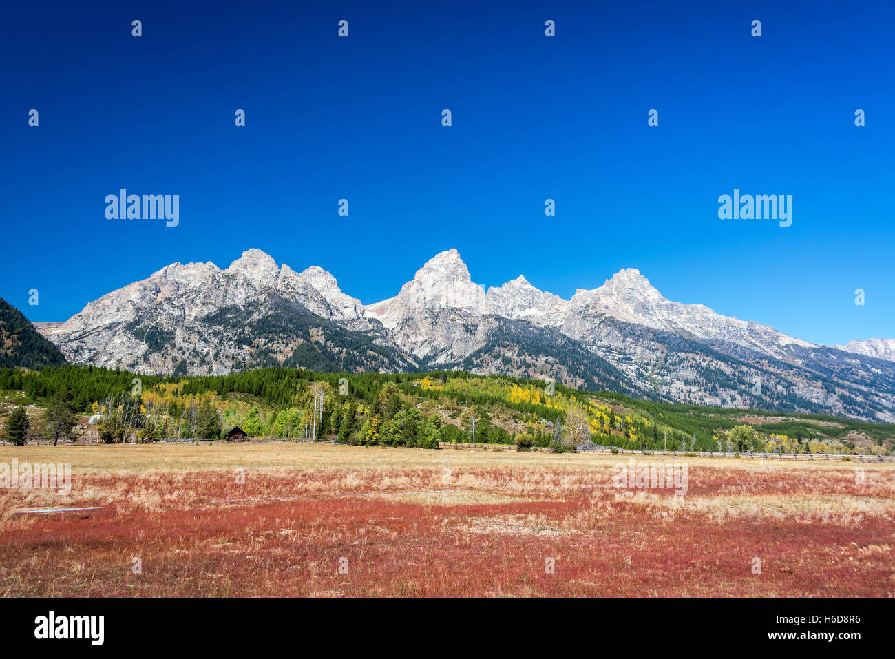 Bello e colorato paesaggio della Teton Range in Grand Teton National Park Foto Stock