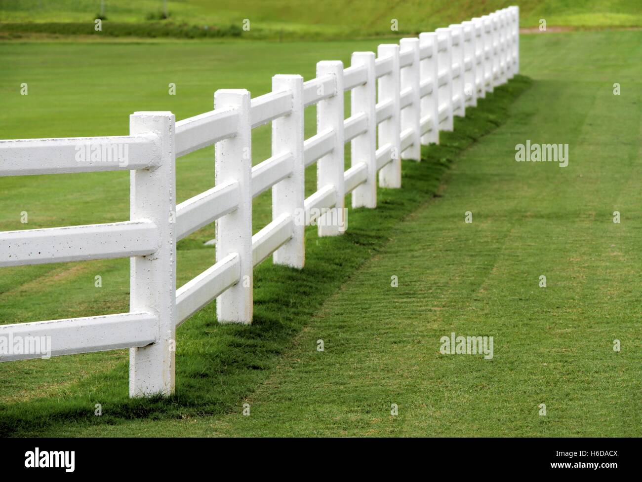 Verdi Pascoli con cemento bianco recinzione Foto Stock
