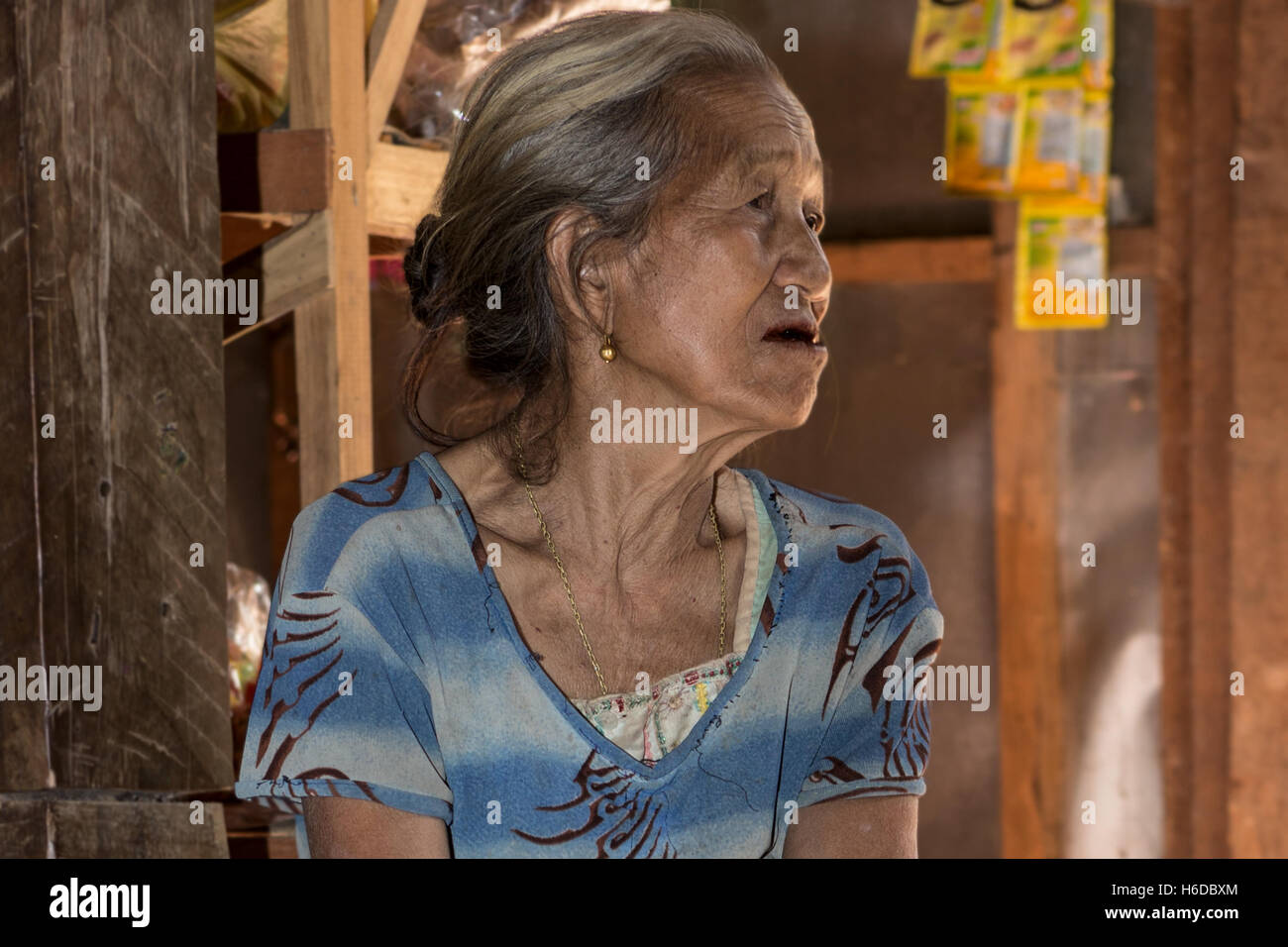 Donna anziana, villaggio di Ban Phavie, popolo khmu/Khamu, vicino Muang la, provincia di Oudomxay, Laos Foto Stock