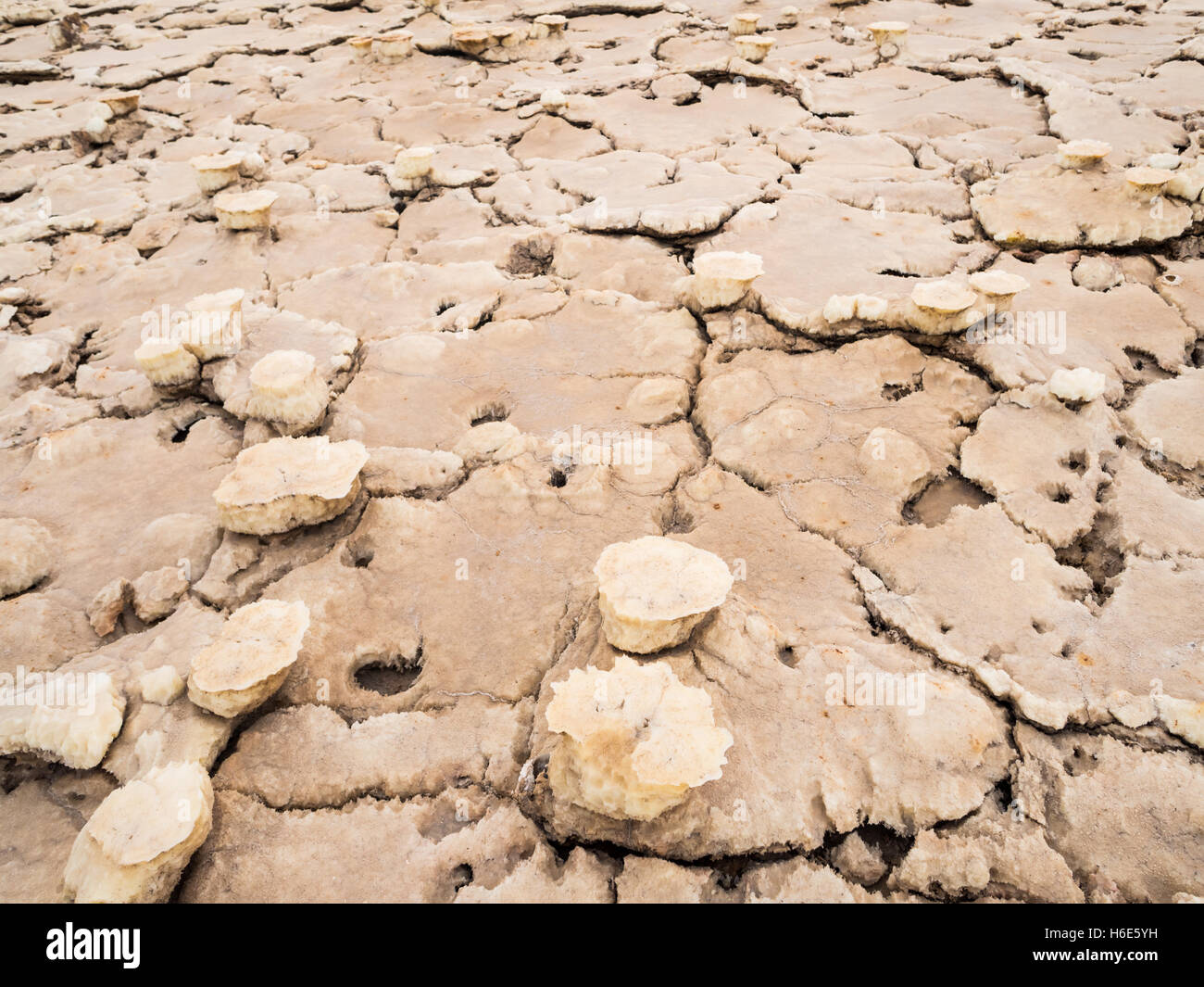 Formazioni minerali intorno al lago di zolfo Dallol, Danakil depressione, Etiopia. Foto Stock