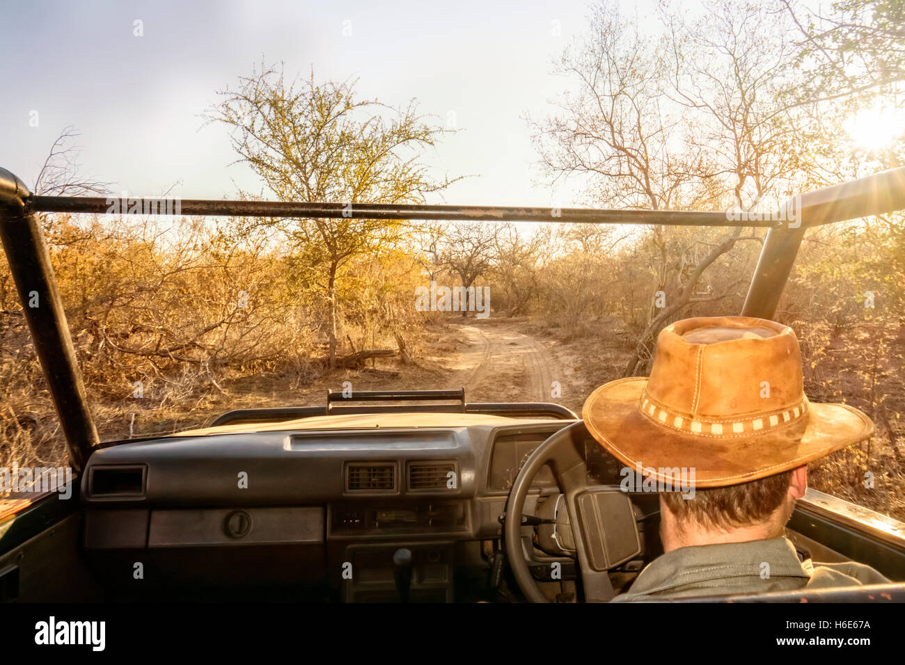Ranger su un game drive manzi la sua jeep lungo una strada polverosa. Egli guarda per animali per mostrare i turisti. Foto Stock
