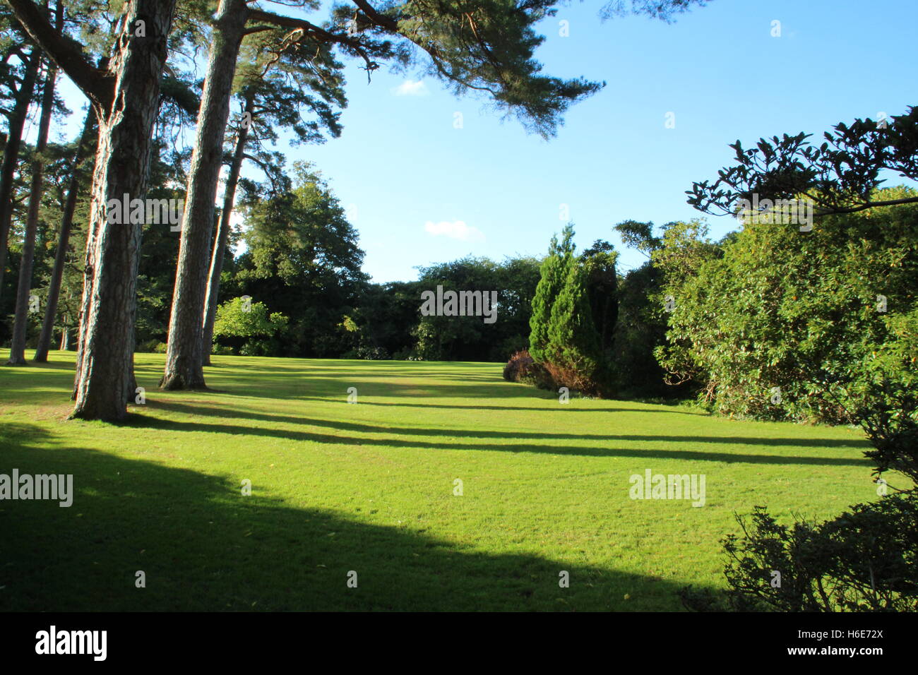 Atteggiamento di golf. Ottobre 2016. Killarney. L'Irlanda. Foto Stock